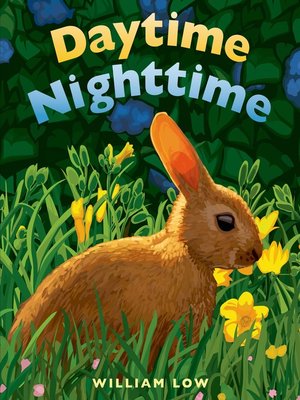 cover image of Daytime Nighttime